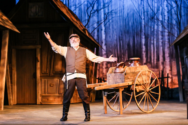 Production Photo featuring the character Tevye dancing