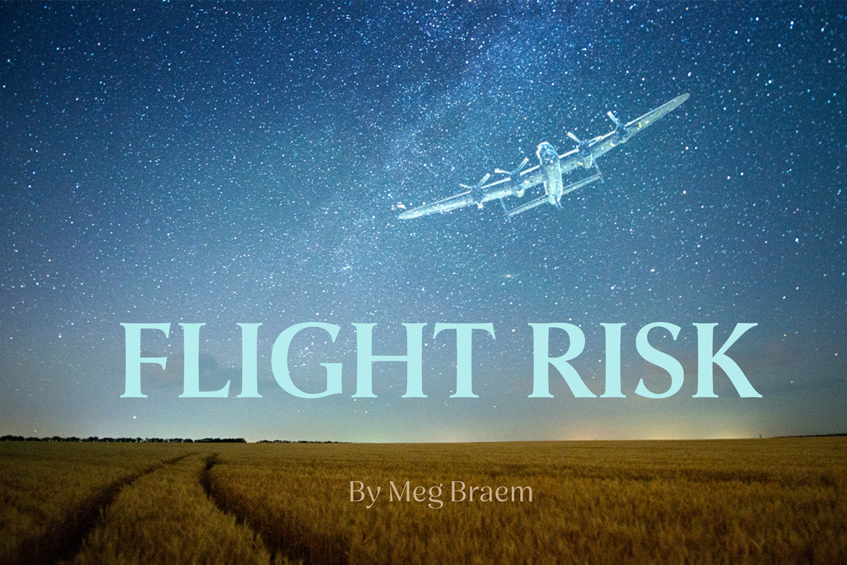 This promotional image for Flight Risk features the title in bold, white letters against a sparkling, bokeh background. The backdrop transitions from warm golden hues at the top to cool blues at the bottom