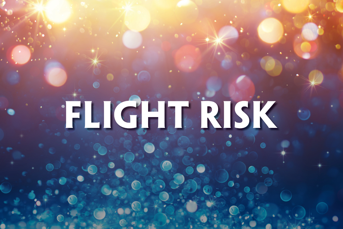 This promotional image for Flight Risk features the title in bold, white letters against a sparkling, bokeh background. The backdrop transitions from warm golden hues at the top to cool blues at the bottom