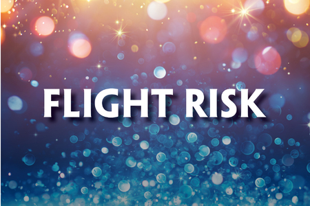 This promotional image for Flight Risk features the title in bold, white letters against a sparkling, bokeh background. The backdrop transitions from warm golden hues at the top to cool blues at the bottom