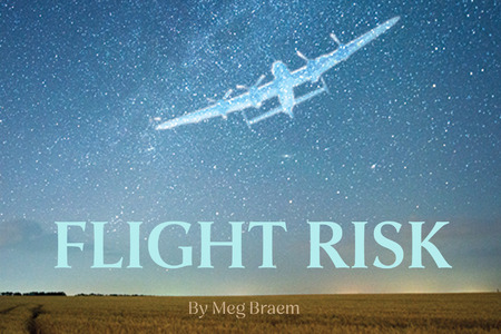 This promotional image for Flight Risk features the title in bold, white letters against a sparkling, bokeh background. The backdrop transitions from warm golden hues at the top to cool blues at the bottom